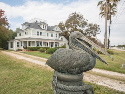 pelican front of house